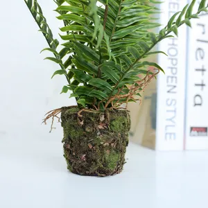 Fuyuan Kunstmatige Mini Potplanten Fern Plant Faux Plastic Greenery Kleine Planten Voor Home Decor Bureau Douche