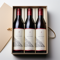 Clamshell type portable vin rouge 3 litres quadrum boîtes pour cadeau de vacances ensemble deux bouteille 1 litre boîte à vin