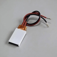 Placa Calefactora de Cerámica PTC de 12V~220V, Carcasa de Aluminio, Accesorios para Calentador Eléctrico, 35*21, Lámina Calefactora PTC de Temperatura Constante