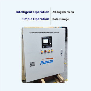 Analizador de Oxígeno en Gas de Alta Precisión Runlai BG100, Sistema de Análisis de O2, Construcción Metálica, Comunicación RS485/RS232, Personalizable - Product Image 4