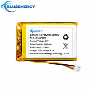 แบตเตอรี่ลิเธียมไอออนโพลิเมอร์บลูเซ็นเนอรี่ 5000mAh 3.7V สำหรับอุปกรณ์อิเล็กทรอนิกส์สำหรับผู้บริโภค - Product Image 1
