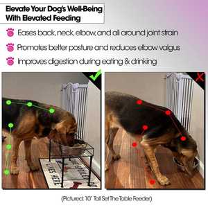 Support en acier pour gamelle de chien de taille moyenne, noir, avec rangement pour deux bols de 8 pouces de diamètre - Product Image 5