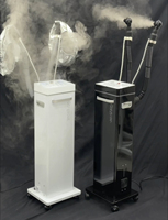 Con buen precio, vaporizador de pelo de alta calidad, vaporizador de pelo de ozono, vaporizador de pelo infrarrojo al mejor precio
