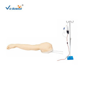 Perawatan Infus Intravena Melalui Vena Median Basilik dengan Venipunktur Lengkap - Product Image 1