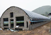 Maison de volaille à Structure en acier, maison de volaille moderne à faible coût pour 10000 poulets