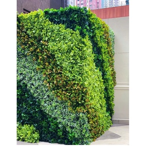 Paneles de plantas de hierba de boj <span class=keywords><strong>artificial</strong></span> Plantas artificiales Jardín vertical de pared verde 3D <span class=keywords><strong>artificial</strong></span> - Product Image 6