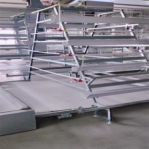 Gabbie per Galline Ovaiole e Quaglie di Alta Qualità in Acciaio Zincato a Caldo Tipo A Design Completamente Automatico Durata 20-25 Anni - Product Image 2