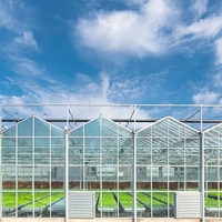 Serre intelligente en verre avec système de contrôle climatique pour la culture hydroponique de légumes et la production commerciale