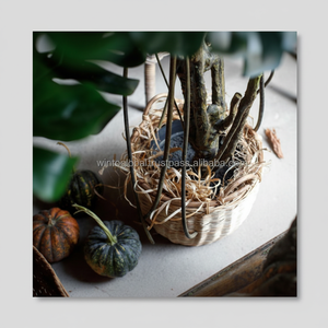 Panier de rangement multifonctionnel en rotin et bambou écologique, élégant et durable, solution de rangement pour vêtements - Product Image 1