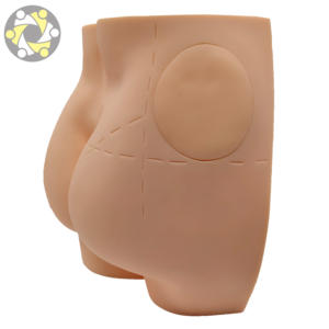 चिकित्सा विज्ञान मानव शरीर रचना नितंब इंजेक्शन अभ्यास मॉडल - Product Image 4