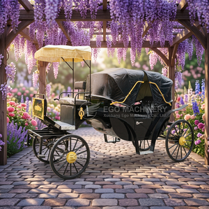 Calèche de haute qualité en acier, électrique ou à chevaux, pour mariages et visites touristiques, 1 à 6 places - Product Image 2