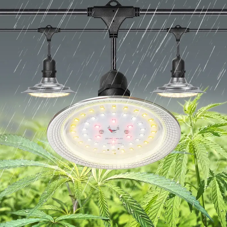 New Economical Simple Growth Light Medical Heb Growth Light Plant Lamp String LED Indoor Herbs Grow and Bloom 420 Indoor 90 IP65