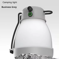 Lampe de camping LED rechargeable AA étanche IP67 Bright Bird 2026, torche lanterne avec batterie externe d'urgence en ABS