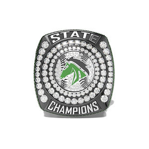 Catawba per la Band della scuola superiore di cresta 2022 anello di diamanti personalizzato del campionato statale con artigianato in metallo bucanieri <span class=keywords><strong>Tampa</strong></span> Bay - Product Image 3