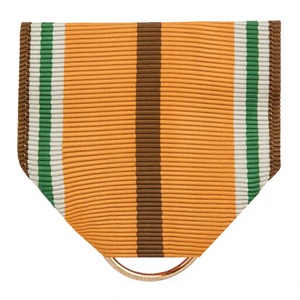 Proficiency Ribbon Drapes Bekleidung-Elegante und stilvolle Kleidung mit komplizierten Band akzenten - Product Image 1