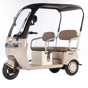 China Supplier Factory Wholesale 60V 72V 1000W Motorized Tricycles Electric <b>Passenger</b> Trike for Adults - Product Image 1