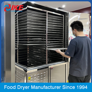 WRH-300GB Trái Cây Và Rau Quả Khô Máy Cá Dứa Bơ Dehydrator Giá Máy - Product Image 3