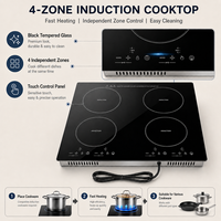 Table de cuisson électrique encastrable/autonome en céramique lisse, plaque à induction, cuisinière électrique sans gaz, fabriquée sur mesure en usine