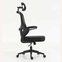 Échantillon Gratuit - Chaise de Bureau en Maille Haut de Gamme, Réglable, Durable, Ergonomique avec Support Lombaire, Pivotante à 360°, Roulettes Fluides, pour Adultes au Travail