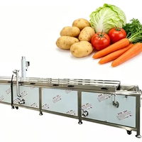 Professionele fruit- en groenteblancheermachine, groenteverwerkingsmachine, groenteblancheermachine voor blokjes, stoomblancheermachine voor groenten