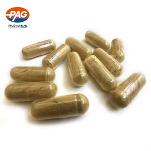 Oem thảo dược thực phẩm bổ sung GMP Cordyceps Sinensis miễn dịch Booster viên nang