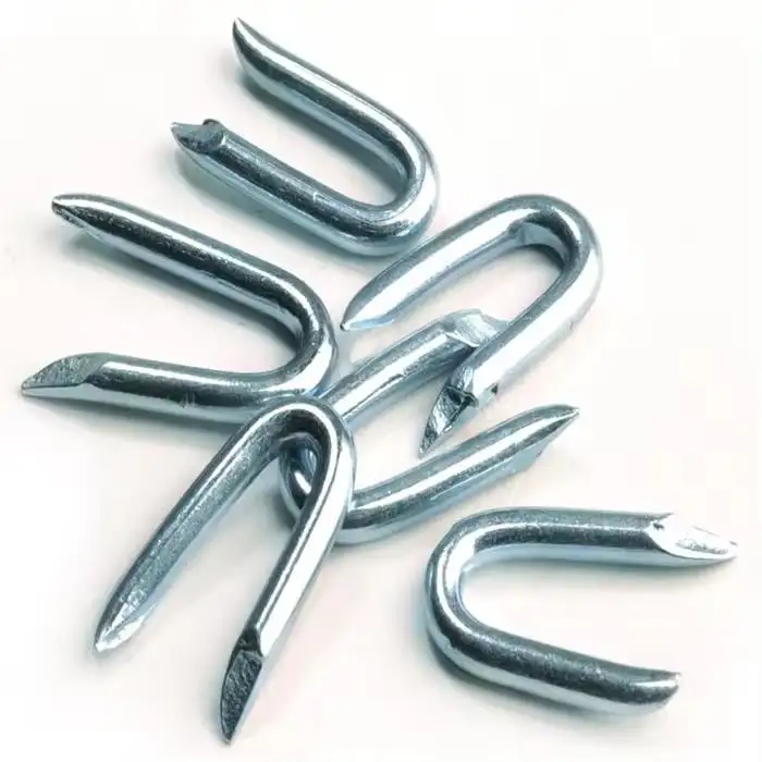 Galvanized U Type U shape nails fence staple for barbed wire fixing