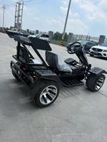 Buggy tout-terrain professionnel à essence, monoplace, 212cc, 4 temps, 750W, 60 km/h, pneus antidérapants de grande taille, pour adultes
