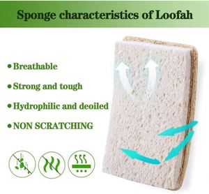Esponjas de Cocina Biodegradables a Base de Plantas, Esponja para Platos Natural, No Abrasiva, Súper Absorbente, Forma Rectangular, Alta Absorción de Agua - Product Image 4