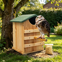 Artisanat en bois sur mesure en gros, nichoir pour oiseaux à toit vert, facile à assembler, volière en bois fait main pour cadeau, maison pour hiboux en bois de cèdre