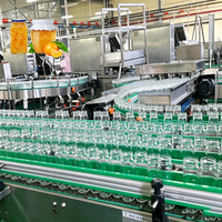ENAK Volledige Set Aanpassing Semi-automatische Volledig Automatische Productielijn voor het Vullen van Geblikte Sinaasappels en Citrusvruchten