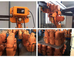 بيع بالجملة والتجزئة 2 طن Tecle مع رافعة ترولي آلية - Product Image 5