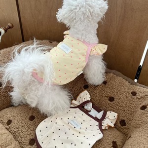 New summer style dog <b>clothes</b>, simple star-patterned suspender dress, cute little flutter sleeves, pet <b>cat</b>, Bichon Frise, Teddy - Product Image 3