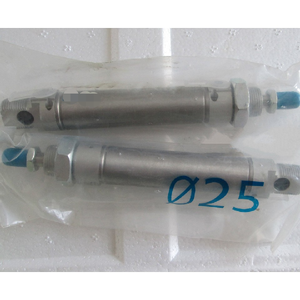 DSNU25-160-PPV-A 19250 Pnömatik Silindir - Product Image 1