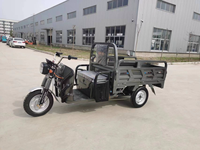 Véhicule de fret électrique chinois à trois roues à deux places avec cadre en acier Tuk Tuk Tricycles pour livraison