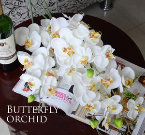 Nouvelle gamme d'orchidées artificielles orchidées papillon blanches, fausses fleurs décoratives <span class=keywords><strong>pour</strong></span> salon, offre spéciale - Product Image 4