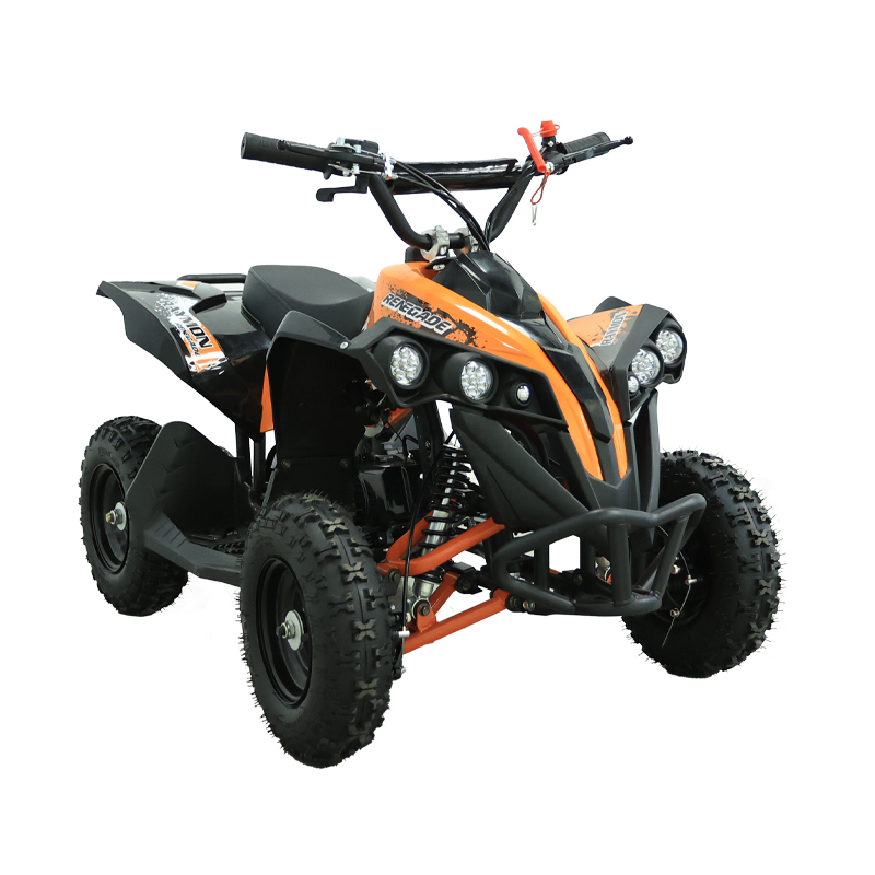 Chinese Cheaper Price Petrol Atv Kids