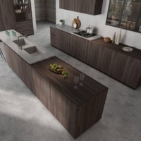 Meuble de cuisine moderne et îlot : Rangement grande capacité