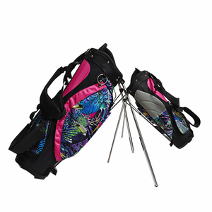 अच्छी कीमत कस्टम देवियों गोल्फ खड़े बैग उच्च गुणवत्ता गर्म बिक्री गोल्फ बैग - Product Image 1