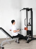 Équipement de musculation à domicile - Machine à flys unilatérale en acier, traction haute intensité, rameur multifonctionnel, capacité de charge 500 kg, polyvalent et complet