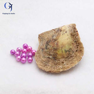 Venta al por mayor, 35 <span class=keywords><strong>ostras</strong></span> <span class=keywords><strong>cultivadas</strong></span> de agua dulce sueltas de Akoya teñidas de 6-8mm con <span class=keywords><strong>perlas</strong></span> de Akoya, <span class=keywords><strong>perlas</strong></span> de ostra - Product Image 4