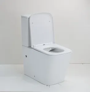 Medyag Square Toilette Dual-flush P-trap Rimless Washdown 2 Piece Toilet Floor WC Closestool