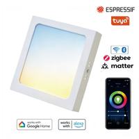 Plafonnier LED intelligent à montage en surface CW 1800LM Tuya Wifi pour Alexa Google App Control, luminaire de plafond LED à intensité variable pour la maison