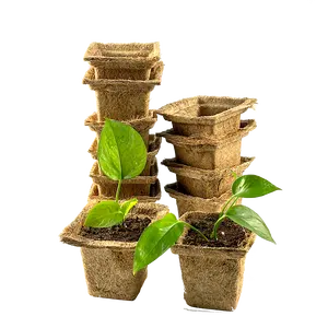 Mükemmel kalite ve ekonomik organik % 100% bitki özü hindistan cevizi Fiber Pot/biyobozunur aile