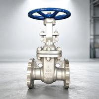 Válvula de Compuerta Industrial Profesional de Acero Fundido con Vástago Ascendente, Sello Metal a Metal y Acabado de Acero Inoxidable 316