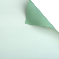 Envoltura impermeable de dos lados, miniramo de flores de estilo coreano, papel de envolver, 2 tonos