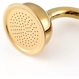Pommeau de douche victorien en titane doré avec ensemble de tuyaux pour salle de bain pommeau de douche à main téléphonique traditionnel en laiton et céramique - Product Image 3