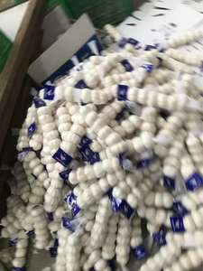 Prix de gros, ail blanc pur biologique de qualité supérieure, frais, 100% biologique, provenant de Shandong, nouvelle récolte en vente - Product Image 5