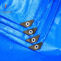 Bâche en plastique imperméable bleue et blanche 4x4, bâche de protection extérieure