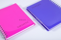 Fournitures de bureau et scolaires, cahiers spirales personnalisés de 200 pages A4 A5 avec couverture en plastique PP, vente en gros, cahier relié 5 sujets avec séparateurs