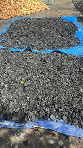 Charbon de coque de noix de coco de haute qualité pour l'exportation, idéal pour la fabrication de charbon actif industriel, charbon actif de coque d'abricot - Product Image 2